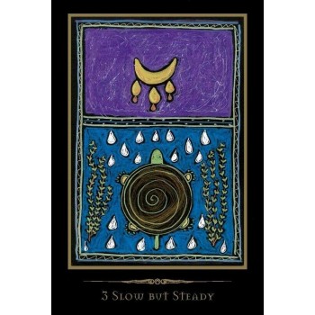 Shamanic Healing Oracle kortos Schiffer Publishing